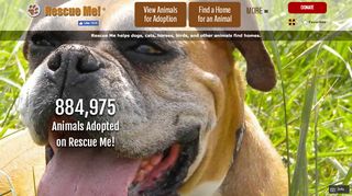 
                            8. ― Rescue Me! ― Adopt Dogs, Cats and More ―