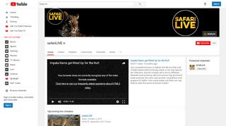 
                            1. safariLIVE - YouTube