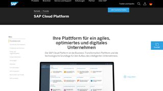 
                            8. SAP Cloud Platform