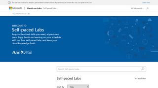 
                            2. Self-paced Labs | Microsoft