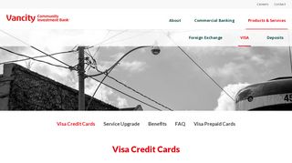 
                            7. Shared Interest Visa Card | VCIB