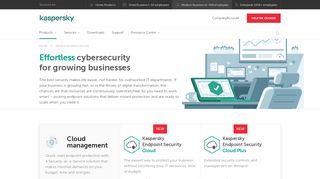 
                            5. Small to Medium Business Endpoint Security | Kaspersky