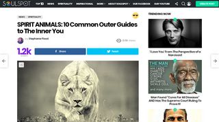 
                            8. SPIRIT ANIMALS: 10 Common Outer Guides to The Inner You