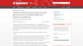 
                            5. Stowers Institute researchers identify gene linked to vertebral defects ...