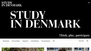 
                            3. Study in Denmark