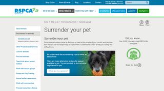 
                            6. Surrender your pet | RSPCA Queensland