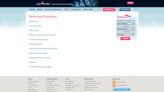 
                            5. Terms & Conditions - Jobs in Dubai