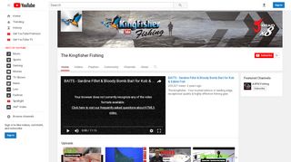 
                            8. The Kingfisher Fishing - YouTube