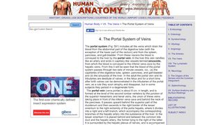 
                            5. The Portal System of Veins - Human Anatomy