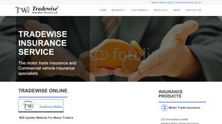 
                            6. Tradewise Insurance Services Ltd