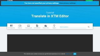 
                            4. Translate in XTM Editor - XTM International