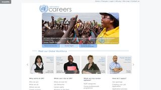 
                            3. UN Careers