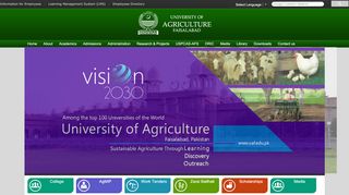 
                            4. University of Agriculture Faisalabad (UAF)