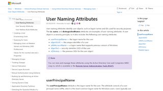 
                            4. User Naming Attributes - Windows applications | Microsoft Docs