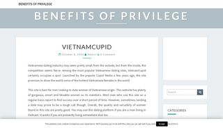 
                            7. Vietnamcupid - Benefits of Privilege