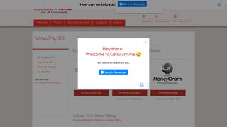 
                            3. View & Pay Bill | Cellular One