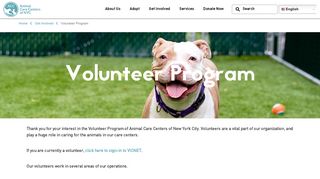 
                            1. Volunteer - Animal Care Centers of NYC (ACC)