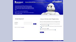 
                            10. Welcome to Michelin B2B Portal