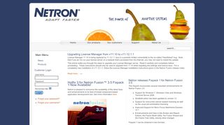 
                            6. Welcome to Netron Inc.