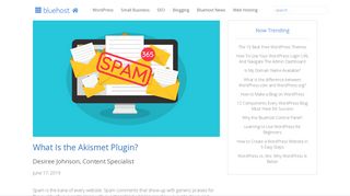 
                            6. What is the Akismet Plugin? | Bluehost