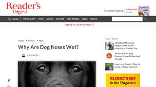 
                            8. Why Are Dog Noses Wet? | Reader's Digest