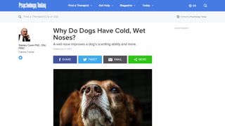 
                            9. Why Do Dogs Have Cold, Wet Noses? | Psychology Today