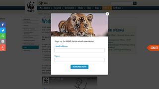 
                            8. Work with WWF | WWF India