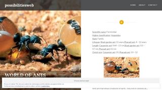 
                            9. WORLD OF ANTS – possibilitiesweb