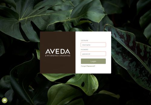 
                            2. www.avedacare.com