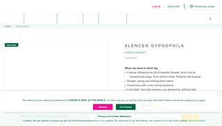 
                            3. Xlence: Gypsophila - Xlence Collection | Danziger