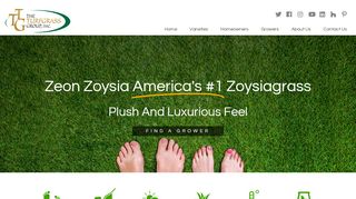 
                            8. Zeon® Zoysia | Shade & Drought Tolerant Zoysia Grass