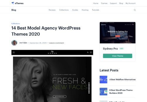 
                            12. 10+ Best Model Agency WordPress Themes 2019 - aThemes