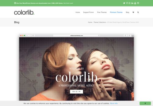 
                            10. 15+ Best Model Agency WordPress Themes 2019 - Colorlib