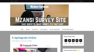 
                            6. 3. Springvale Online - Mzansi Surveys