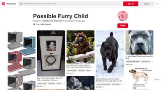 
                            12. 31 Best Possible Furry Child images | Dogs, Pets, Dog cat - Pinterest