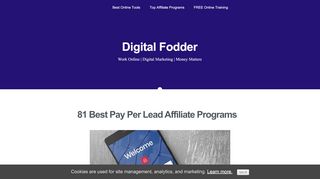
                            3. 49 Pay Per Lead Affiliate Programs: Get Leads and Get Paid! (2019)