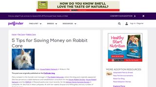 
                            12. 5 Tips for Saving Money on Rabbit Care | Petfinder