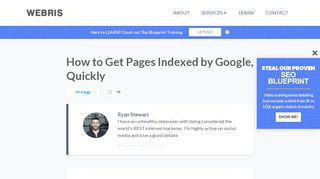 
                            13. 8 Ways to Get Your Pages Indexed by Google, Quickly // WEBRIS