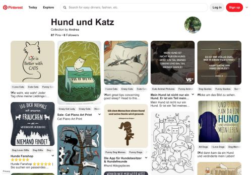 
                            13. 85 besten Hund und Katz Bilder auf Pinterest | Katzen kunst ...