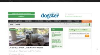
                            8. A BabyCenter Community Helps Send an Abandoned Pit Bull a ...