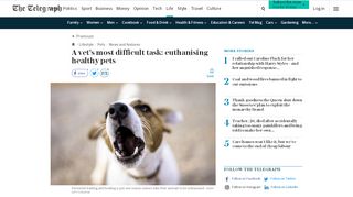 
                            4. A vet's most difficult task: euthanising healthy pets - The Telegraph