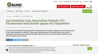 
                            11. Aal weiterhin vom Aussterben bedroht: EU-Fischereirat entscheidet ...