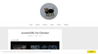 
                            6. AccessURL for Chrome - MJDTech