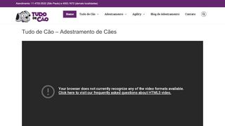 
                            6. Adestramento Tudo de Cão – Adestramento, adestramento de cães ...