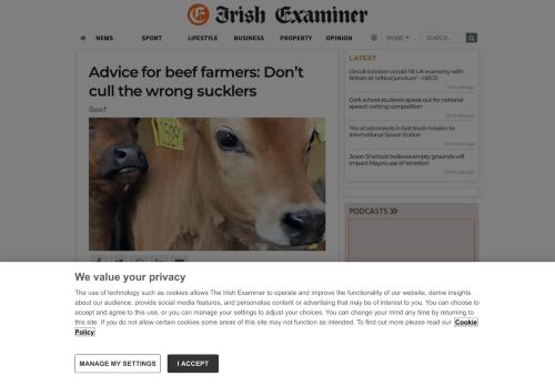 
                            12. Advice for beef farmers: Don't cull the wrong sucklers | Irish Examiner