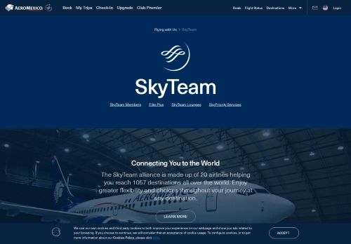 
                            11. Aeromexico - Skyteam Alliance