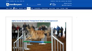 
                            7. Agility-Turnier des Vereins 