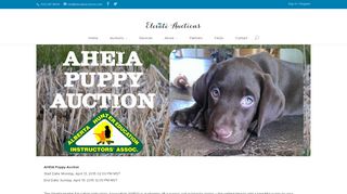 
                            9. AHEIA Puppy Auction - Elevate Auctions