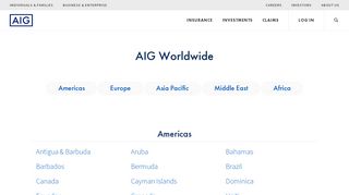 
                            3. AIG Worldwide