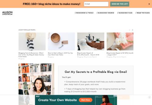 
                            11. Allison Lindstrom - Advice on How a Blog Works